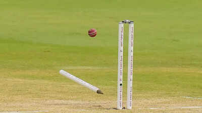 Cricket-bowled-pti-1280.jpg