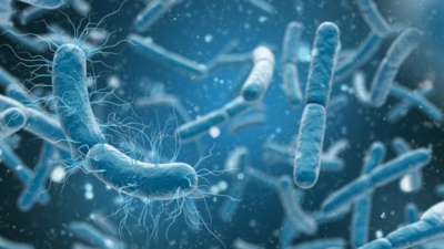 Scientists-discover-bacteria-that-breathe-electricity-instead-of-oxygen.jpg