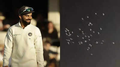 Virat-Kohli-AP-and-Screengrab.jpg