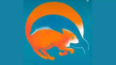 fox.jpg