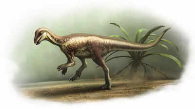 Dog-sized-dinosaur-fossil-that-roamed-among-giants-discovered-by-scientists.jpg