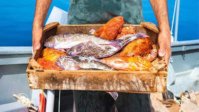 Fish-endure-intense-pain-up-to-24-minutes-when-killed-study-reveals.jpg