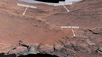 NASAs-Mars-rover-captures-first-close-up-of-bizarre-spiderwebs-on-the-Red-Planet.jpg