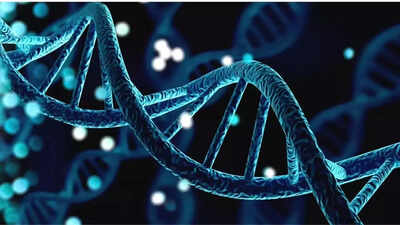 Scientists-may-have-found-a-way-to-extend-lifespan-without-strict-dieting-heres-what-the-research-sh.jpeg