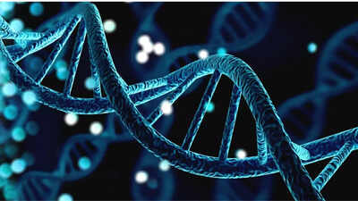 Scientists-say-airborne-DNA-detects-wildlife-diseases-and-even-drugs.jpg