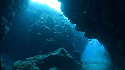 Unique-rare-Earth-elements-unveiled-on-an-underwater-island-heres-what-it-means-for-the-future.jpg