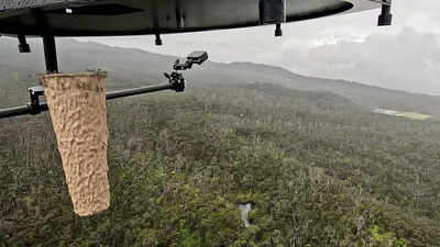 Why-are-scientists-dropping-mosquitoes-from-drones-in-Hawaii.jpg