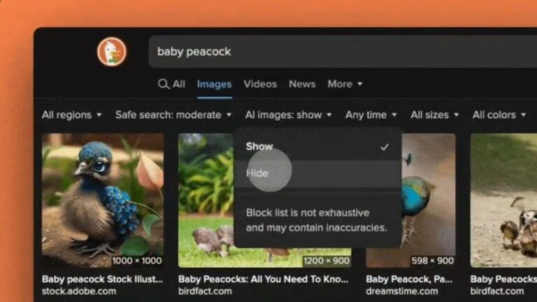 DuckDuckGo_1752912826503_1752912826662.jpg