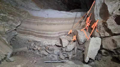 Ancient-DNA-reveals-75000-year-old-animal-remains-in-Norway-PNAS-study.jpg
