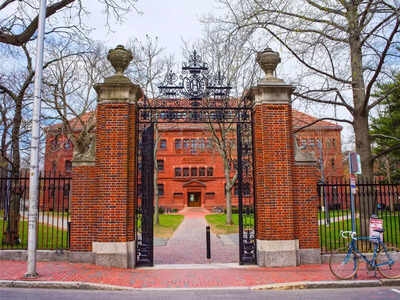 harvard-consolidates-dei-offices-ending-dedicated-womens-and-lgbtq-spaces.jpg