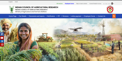 icar-counselling-2025.jpg