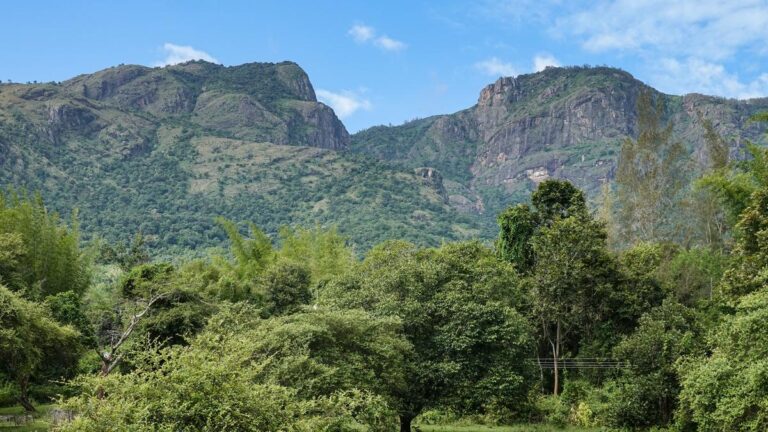 Nilgiris_Range_Bokkapuram_Sep22_R16_06380.jpg