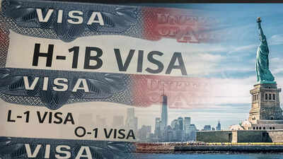 alternatives-to-h-1b-visas.jpg
