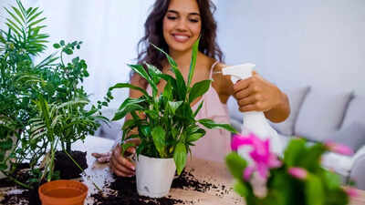 can-your-indoor-plants-cause-you-headaches-what-science-says-and-what-you-can-do.jpg