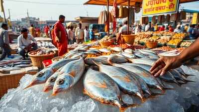hilsa-glimmer-at-bharuch-market.jpg