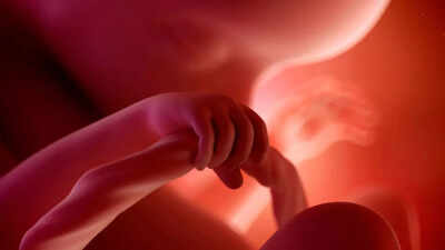microplastics-in-the-womb-what-we-know-about-risks-to-unborn-babies.jpg