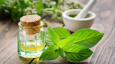 peppermint-oil-for-oral-hygiene-natural-remedy-for-healthy-teeth-and-gums.jpg
