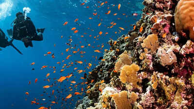scuba-diving-isnt-always-safe-understanding-risks-safety-checks-and-real-life-lessons-for-divers.jpg