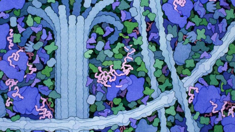 1wbiosites-cytoplasm.jpg