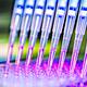 IMG_bl26_cell_culture_3_1_AJ8TMVBA.jpg