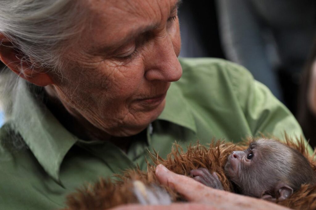 JaneGoodall.jpg