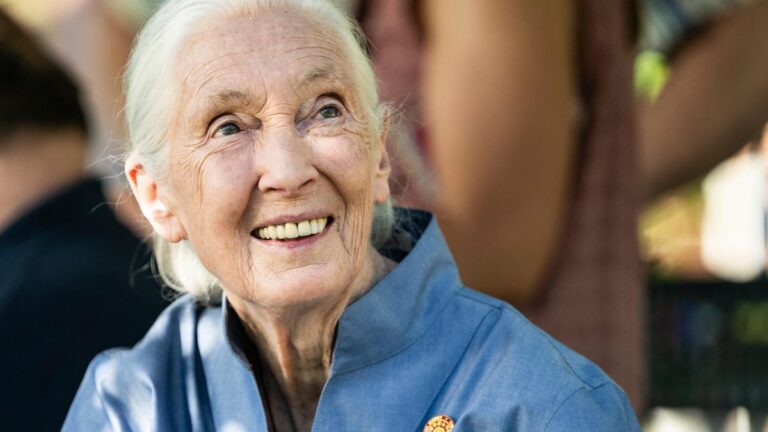 Obit_Jane_Goodall_67533.jpg