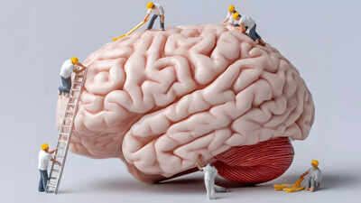 active-brain.jpg