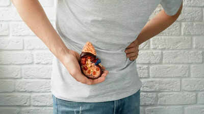 black-seed-for-kidney-stones-how-nigella-sativa-may-naturally-help-dissolve-stones-and-improve-overa.jpeg