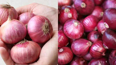 desi-vs-red-onion-which-indian-onion-is-best-for-reducing-inflammation-and-boosting-health.jpg