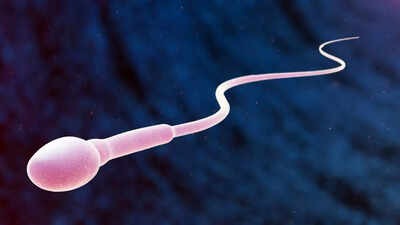 how-ageing-affects-mens-sperm-and-genetic-health-shocking-truths-doctors-want-you-to-know.jpg