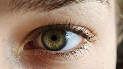 how-to-grow-eyelashes-naturally-at-home-in-2-weeks.jpg