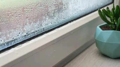 how-to-prevent-window-condensation-in-autumn-using-baking-soda.jpg