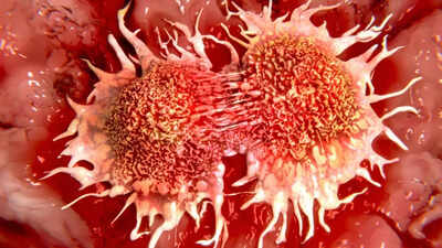 new-bacterial-protein-could-make-cancer-cells-kill-themselves-study-finds.jpg