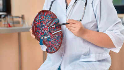 reverse-fatty-liver.jpg
