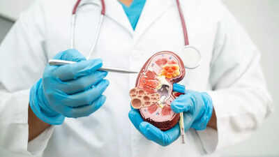 what-causes-kidney-attacks-understanding-its-symptoms-and-ways-to-protect-your-kidneys.jpg
