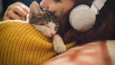 5-reasons-why-your-cat-sleeps-on-you-and-what-it-really-means.jpg