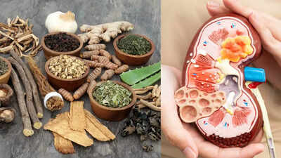 7-kidney-friendly-herbs-and-spices-that-make-your-meals-healthier-and-tastier.jpg