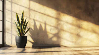 indoor-plants-for-sinus-relief-how-greenery-improves-air-quality-and-eases-congestion.jpg
