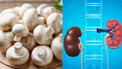mushrooms-may-not-be-safe-for-your-kidneys-what-to-eat-avoid-and-how-to-stay-safe.jpg