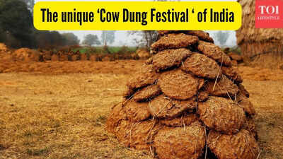 the-unique-cow-dung-festival-of-india.jpg