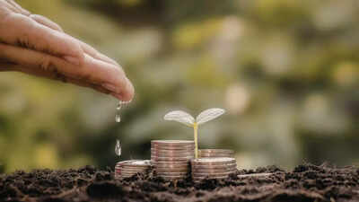why-is-your-money-plant-turning-yellow-simple-home-remedies-to-revive-it.jpg