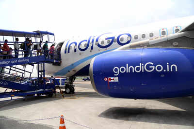 1765096472_indigo.jpg