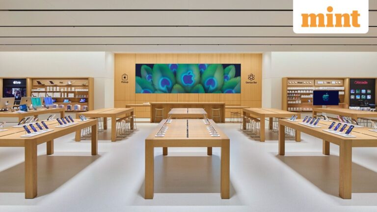 Apple_1765445055982_1765445056201.jpg