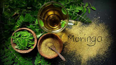 could-chewing-moringa-leaves-really-boost-your-health.jpg