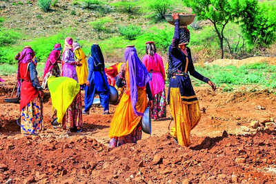govt-8-families-got-100-days-of-work-under-nrega-in-last-3-fys.jpg