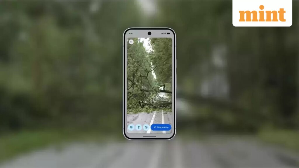 hfhfhfffffffff_1765435258137_1765435263591.webp.jpeg