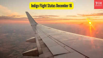 indigo-flight-status-december-16.jpg