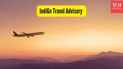 indigo-travel-advisory.jpg