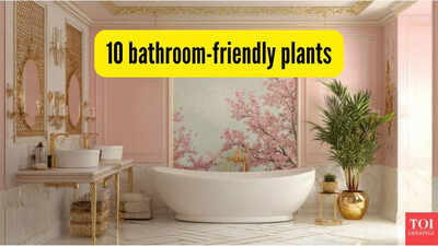 10-bathroom-friendly-plants.jpg