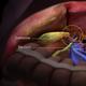3D_Medical_Animation_liver_parts.jpg